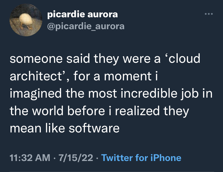 The meme is a humorous commentary on the stereotypical image of a "cloud architect" - a person who designs and builds cloud computing systems. The text reads: "someone said they were a 'cloud architect', for a moment I imagined the most incredible job in the world, before realizing it meant they worked with software."